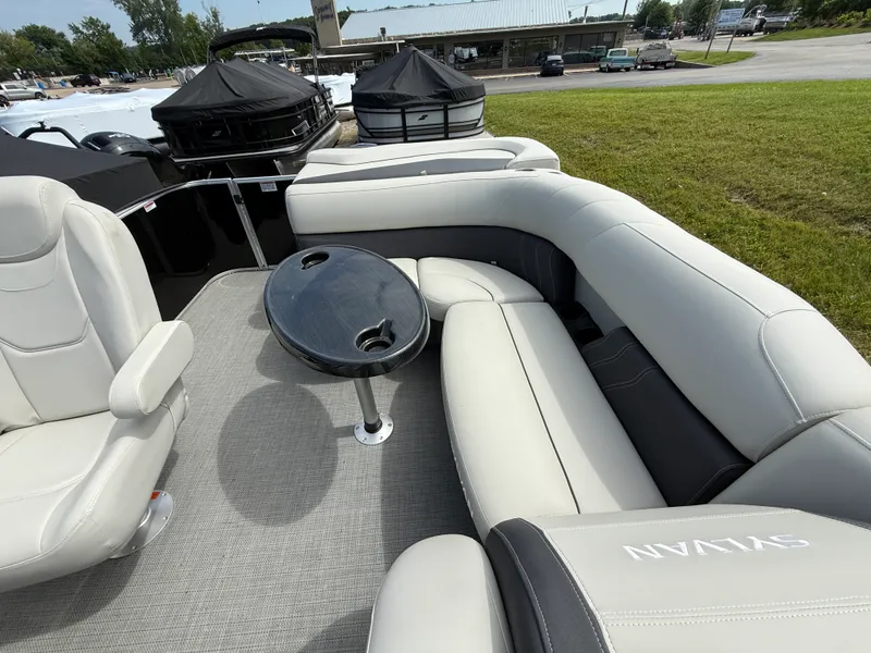 Slide: The Image of Sylvan MIRAGE 820 2025 - 22