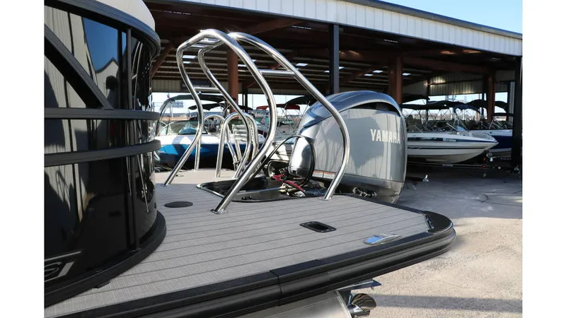 Slide: The Image of Sylvan Mirage X1 Tri-Toon 2025 - 5