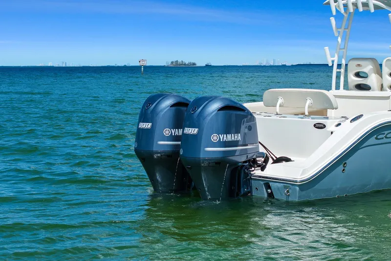 Slide: The Image of Cobia 301 CC 2019 - 14