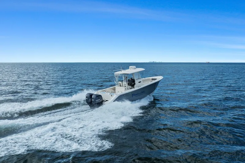 Slide: The Image of Cobia 301 CC 2019 - 22