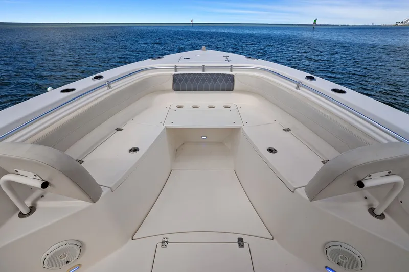 Slide: The Image of Cobia 301 CC 2019 - 27