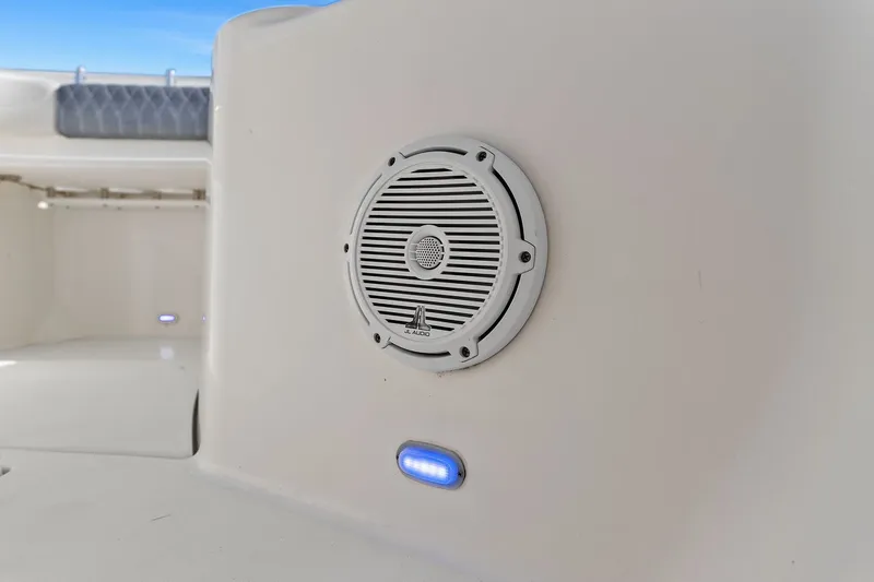 Slide: The Image of Cobia 301 CC 2019 - 34