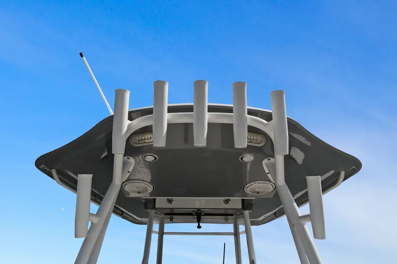 Slide: The Image of Cobia 301 CC 2019 - 56