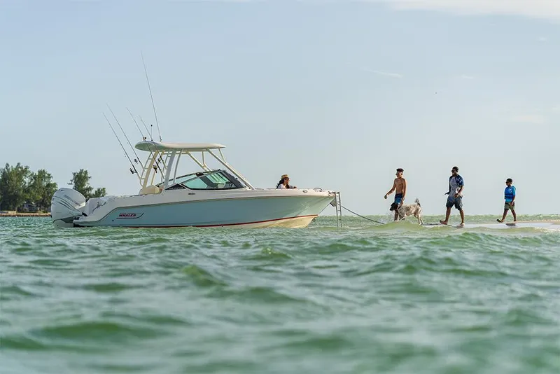 Slide: The Image of Boston Whaler 240 Vantage 2023 - 14