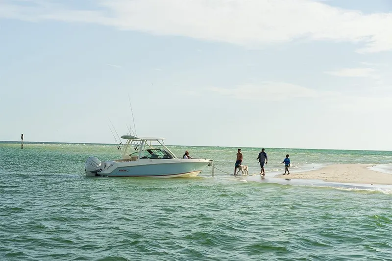 Slide: The Image of Boston Whaler 240 Vantage 2023 - 49