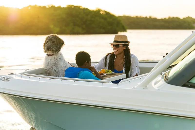 Slide: The Image of Boston Whaler 240 Vantage 2023 - 63