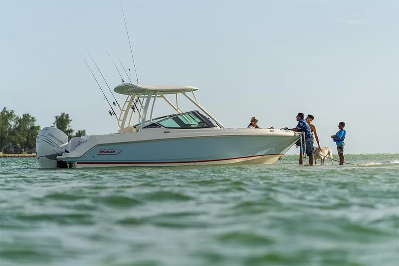 Slide: The Image of Boston Whaler 240 Vantage 2023 - 64