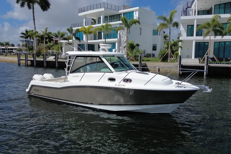 The Image of Boston Whaler 315 CONQUEST 2019 - undefined