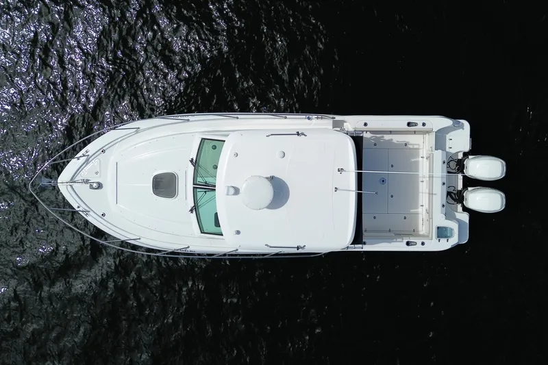 Slide: The Image of Boston Whaler 315 CONQUEST 2019 - 13