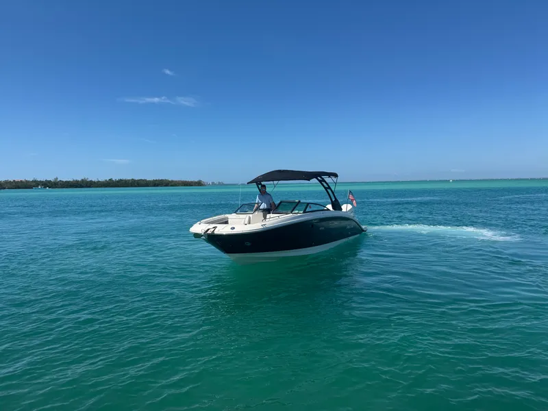 Slide: The Image of Sea Ray 290 SDX OUTBOARD 2021 - 3