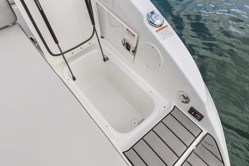 Slide: The Image of Sea Ray SDX 250 2026 - 55