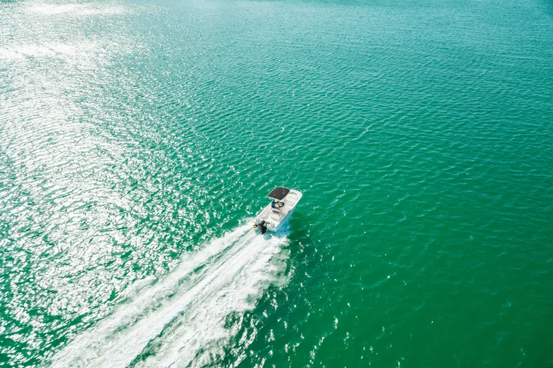 Slide: The Image of Boston Whaler 190 Montauk 2026 - 10