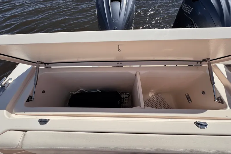 Slide: The Image of Grady-White Freedom 335 2019 - 26