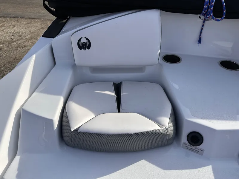 Slide: The Image of Scarab 165 ID 2024 - 11