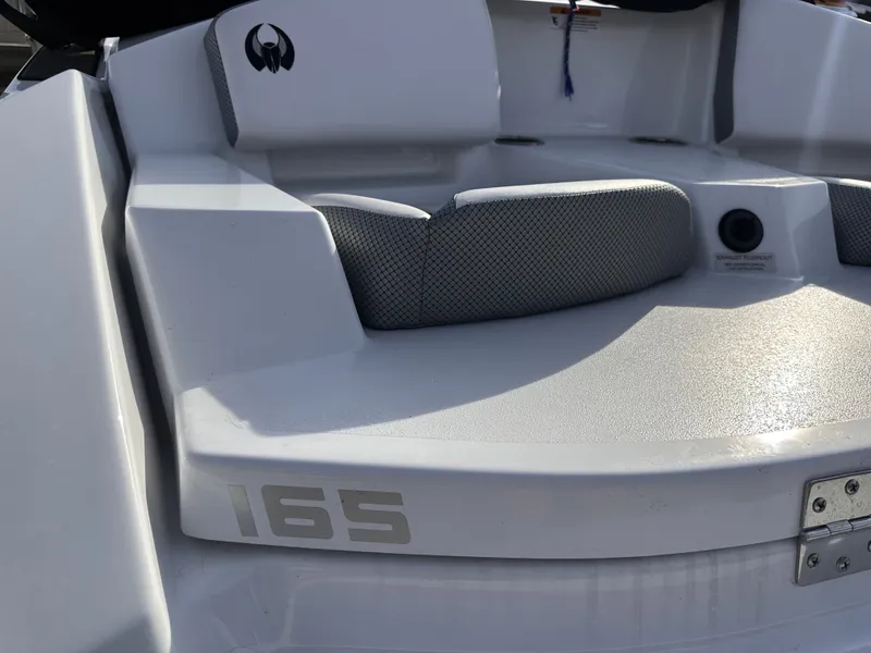 Slide: The Image of Scarab 165 ID 2024 - 13