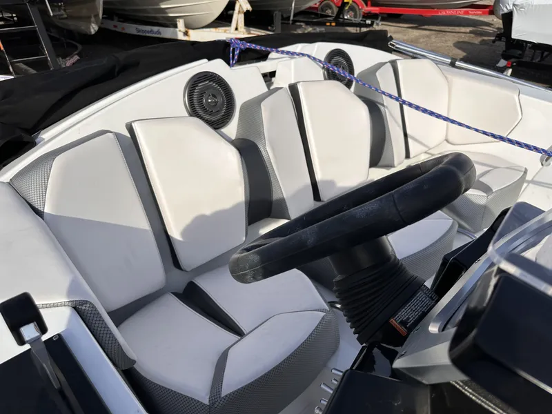 Slide: The Image of Scarab 165 ID 2024 - 17