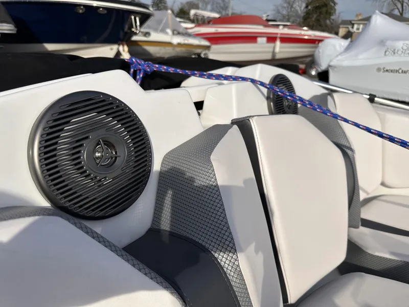 Slide: The Image of Scarab 165 ID 2024 - 18