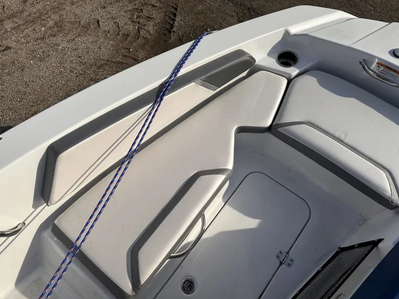 Slide: The Image of Scarab 165 ID 2024 - 30