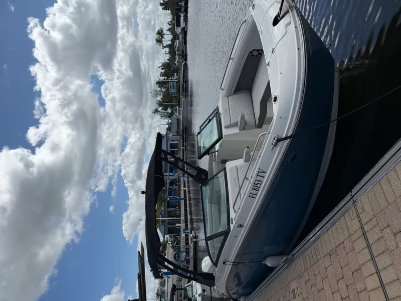 The Image of Sea Ray 270SD OB 2024 - 0