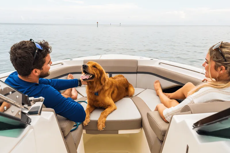 Slide: The Image of Boston Whaler 330 Vantage 2025 - 17