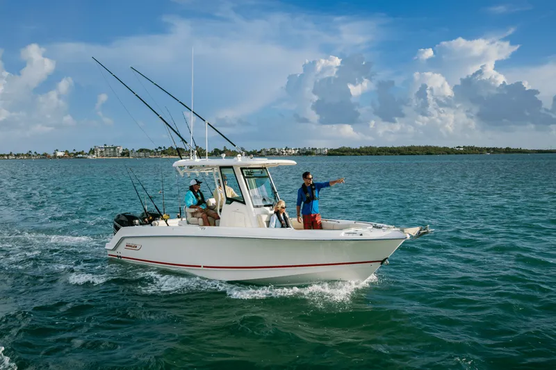 Slide: The Image of Boston Whaler 250 Outrage 2026 - 20