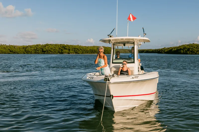 Slide: The Image of Boston Whaler 250 Outrage 2026 - 32