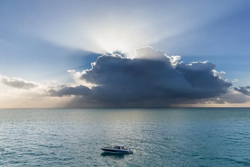 Slide: The Image of Boston Whaler 420 Outrage 2026 - 38