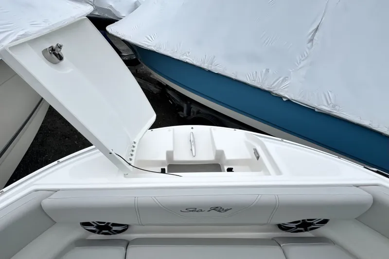 Slide: The Image of Sea Ray SDX 250 Outboard 2026 - 38