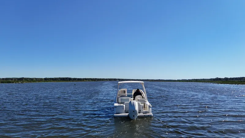 Slide: The Image of Scout 240 Dorado 2025 - 4