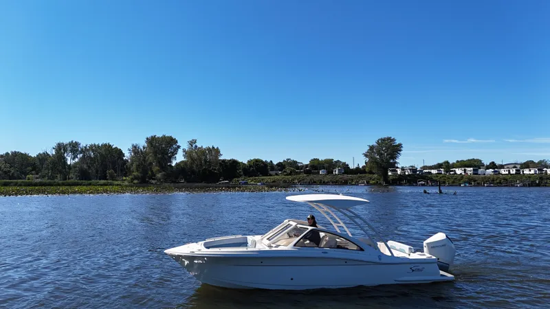 Slide: The Image of Scout 240 Dorado 2025 - 1