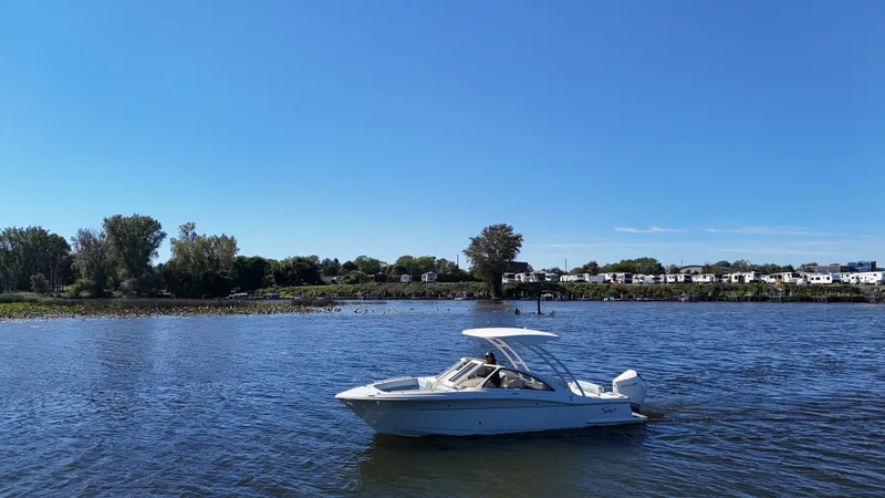 Slide: The Image of Scout 240 Dorado 2025 - 2