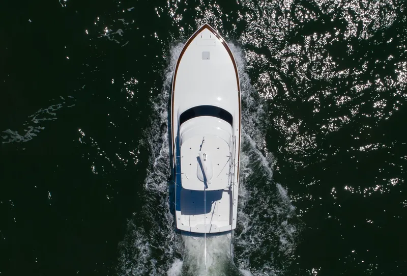 Slide: The Image of Viking 46 Billfish 2026 - 21