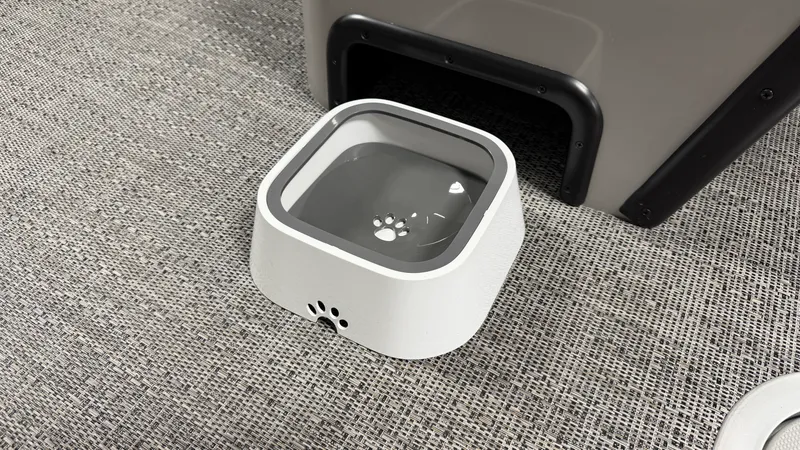 Slide: The Image of Barletta SANZA22QC 2026 - 34