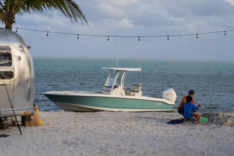 Slide: The Image of Boston Whaler 250 Dauntless 2025 - 10