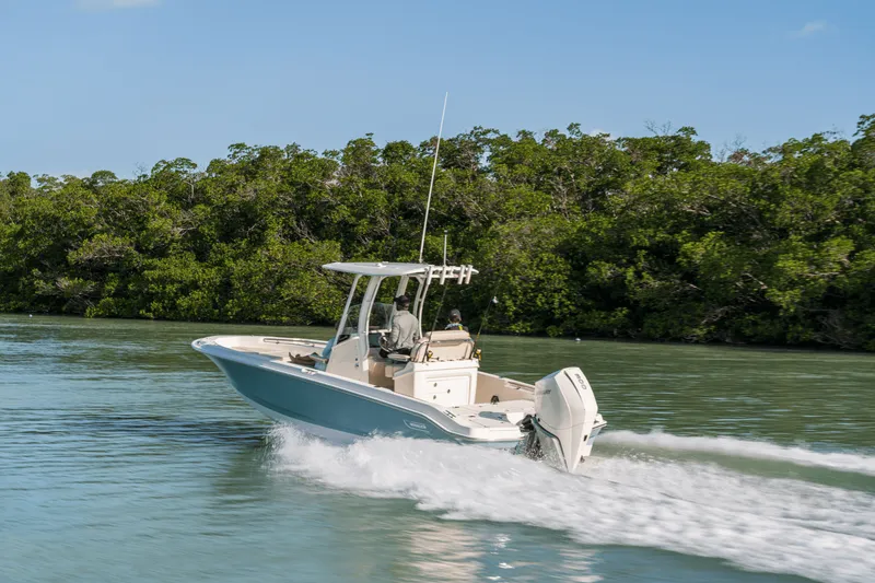 Slide: The Image of Boston Whaler 250 Dauntless 2025 - 14