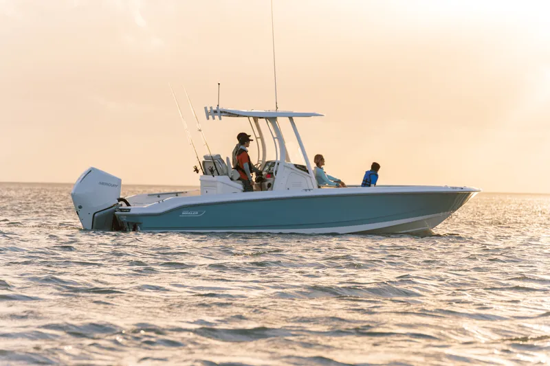 Slide: The Image of Boston Whaler 250 Dauntless 2025 - 2