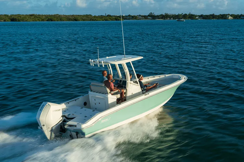 Slide: The Image of Boston Whaler 250 Dauntless 2025 - 25