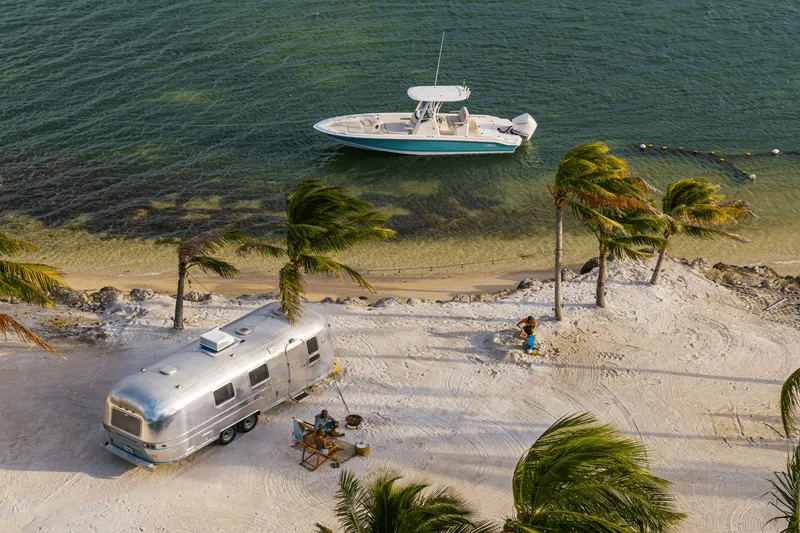 Slide: The Image of Boston Whaler 250 Dauntless 2025 - 36