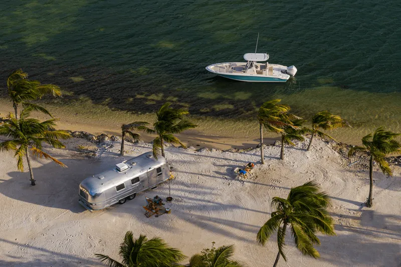 Slide: The Image of Boston Whaler 250 Dauntless 2025 - 38