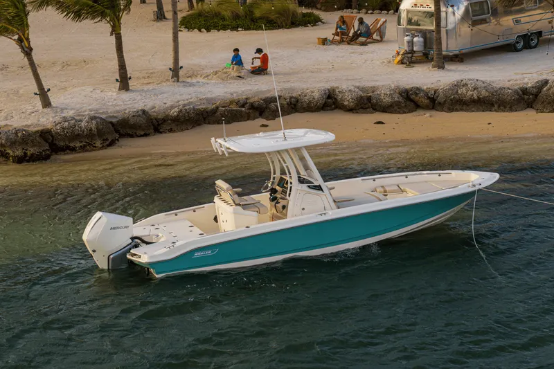 Slide: The Image of Boston Whaler 250 Dauntless 2025 - 39