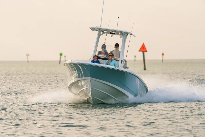 Slide: The Image of Boston Whaler 250 Dauntless 2025 - 4