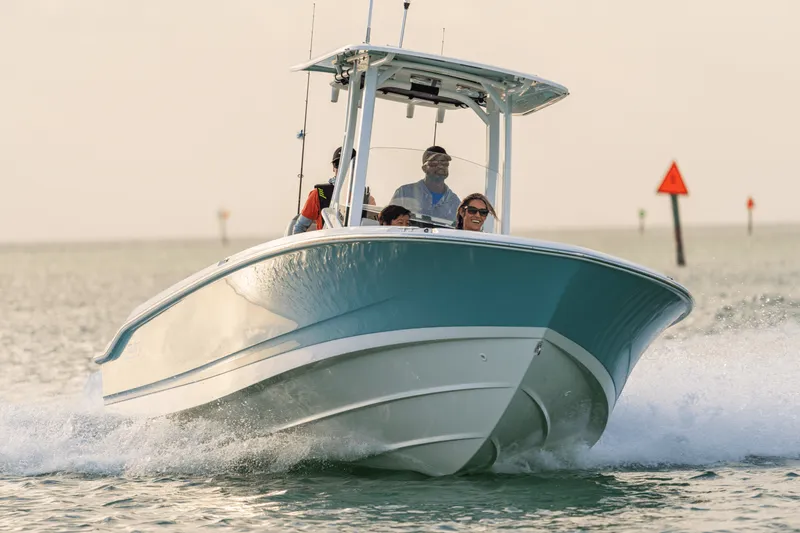 Slide: The Image of Boston Whaler 250 Dauntless 2025 - 5