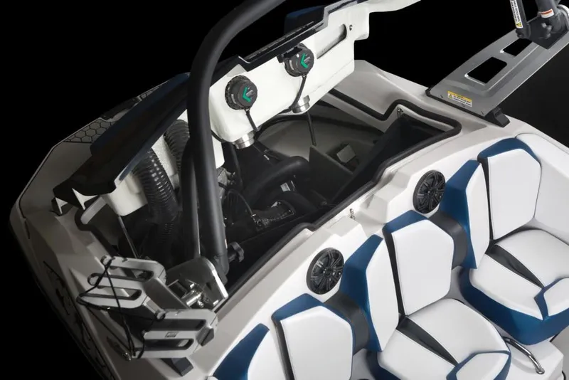 Slide: The Image of Scarab 165 ID 2020 - 5