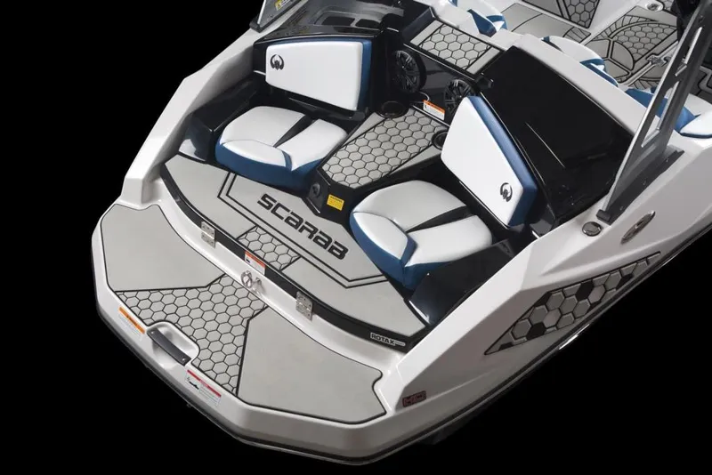 Slide: The Image of Scarab 165 ID 2020 - 6