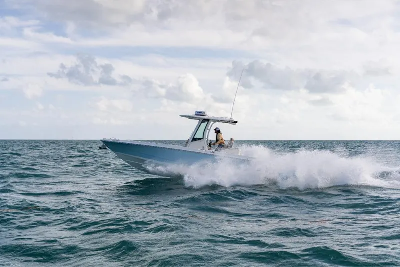 Slide: The Image of Boston Whaler 280 Dauntless 2026 - 51
