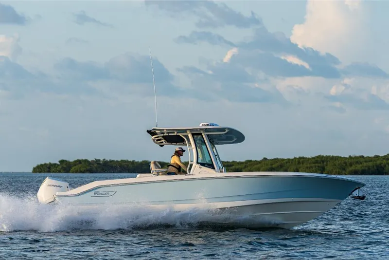Slide: The Image of Boston Whaler 280 Dauntless 2026 - 55