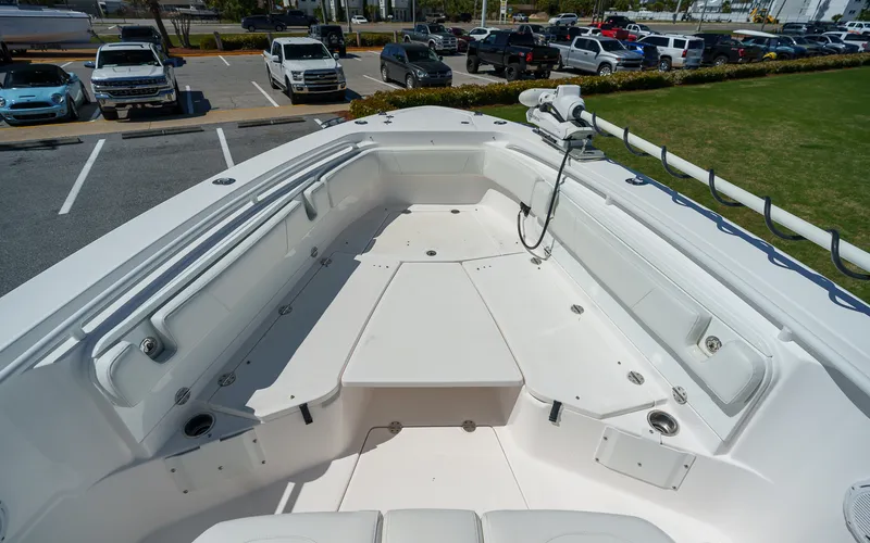 Slide: The Image of Everglades 325 CC 2017 - 12