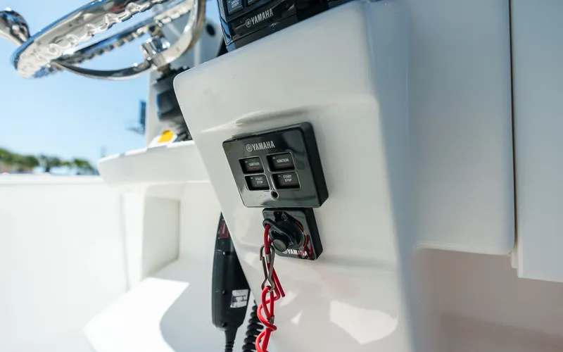 Slide: The Image of Everglades 325 CC 2017 - 26