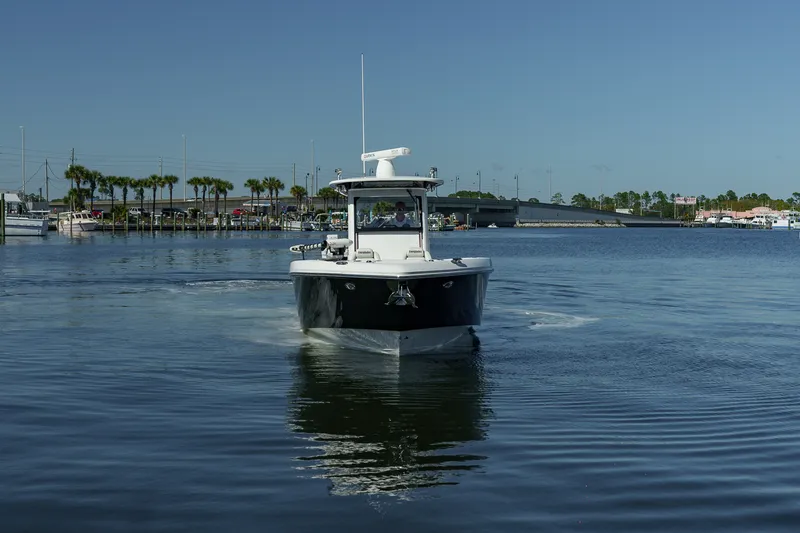 Slide: The Image of Everglades 325 CC 2017 - 5