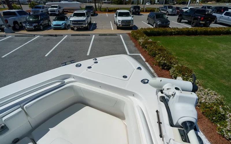 Slide: The Image of Everglades 325 CC 2017 - 8